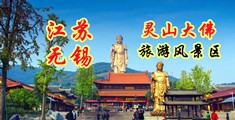 寡妇屄江苏无锡灵山大佛旅游风景区